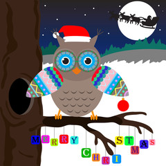 owl with Merry Crastmass