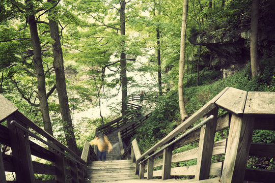 Tourist trail to Brandwine Falls