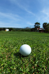 golf-ball on course
