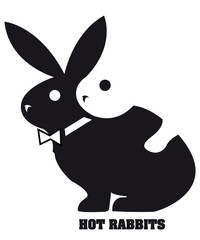 lapin, animal,symbole,reproduction,accouplement,