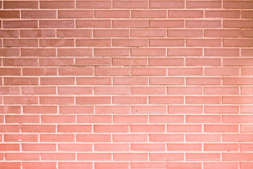 Mur de briques roses, arrière-plan ou texture