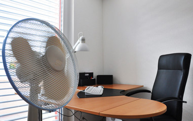 Fan in the office