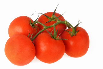 Fresh tomatoes