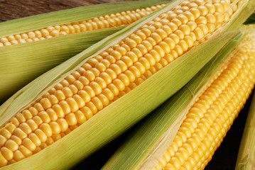 corn cob