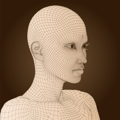 High resolution conceptual 3D wireframe human female