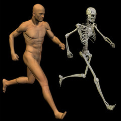 High resolution conceptual 3D human ideal for anatomy, medicine