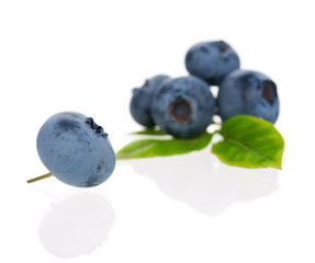 Ripe blueberries