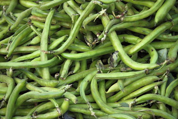 Fava beans