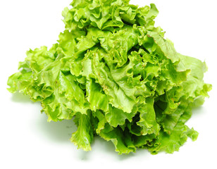 lettuce