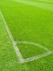 Obraz premium Soccer stadium
