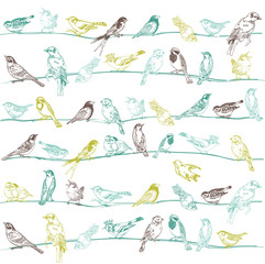 Cotton fabric Birds Seamless Background - for design and scrapbook - in vector