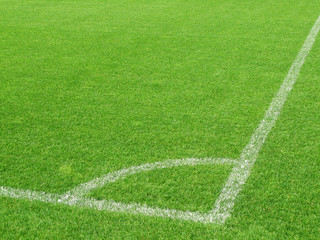 Fototapeta premium Soccer field