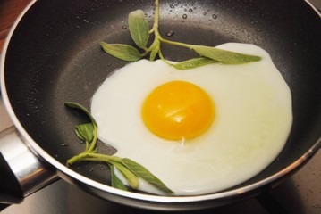 fried egg 