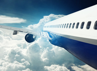 Airplane in Flight