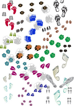 animals and human color tracks on white