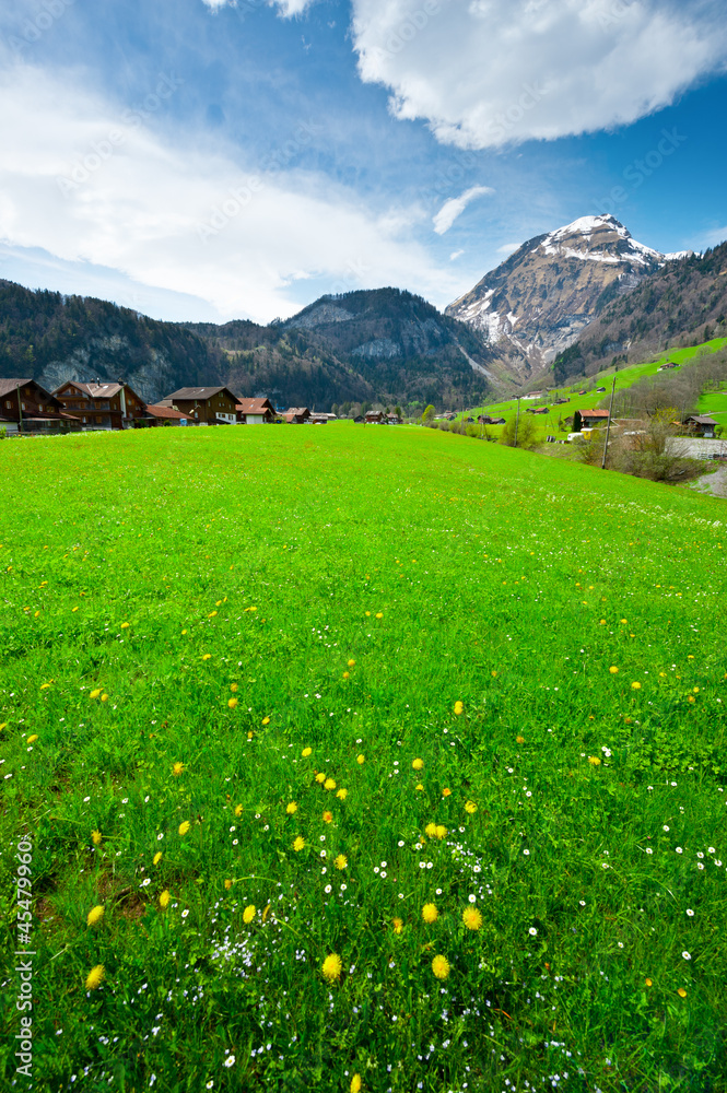 Canvas Prints Small Village