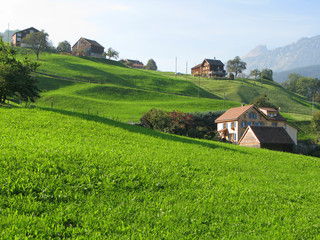 Obraz premium Scenic view in Voralp, Switzerland