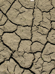 Dry soil