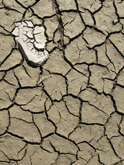 Droughty lake bottom