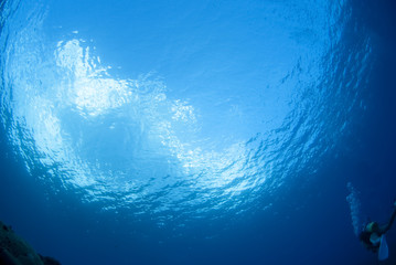海底から見た空とダイバー