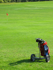 Golf bag on the grass