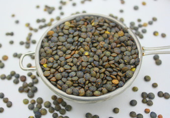 lentilles vertes,féculent