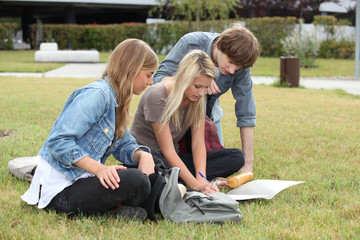 Three students studying on the grass