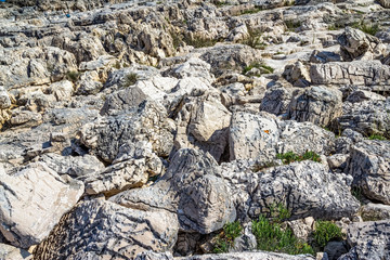 mediterranean rocky shores