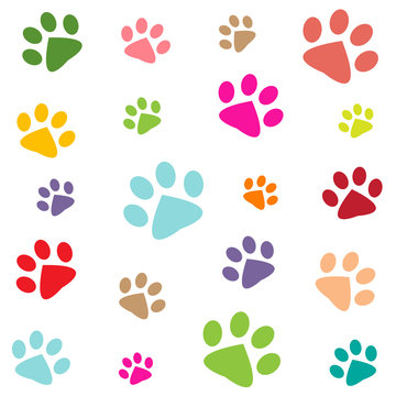 colored pattern with paw prints