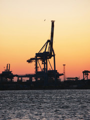 Crane in the port of Genua, Italy