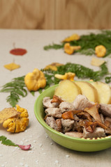 Chicken mushrooms ragout