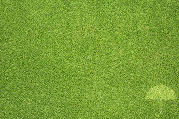 Umbrella icon on green grass texture and  background