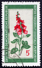 Postage stamp GDR 1960 Purple Foxglove, Medicinal Plant