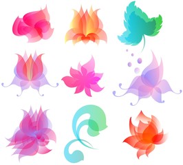 The elements for design the flowers and foliage