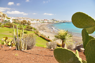 Fototapeta na wymiar Torviscas plaży. Teneryfa, Wyspy Kanaryjskie