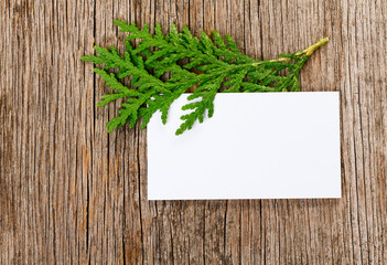 Wooden background with empty white card and green thuja branch