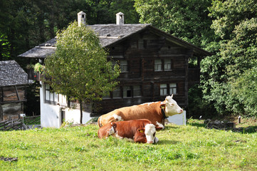 Traditional Swiss farm house