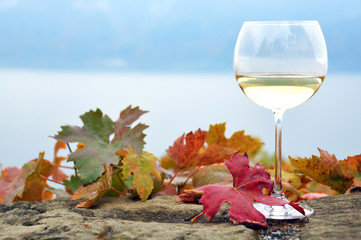Glass of white *wine and autumn leaves against Geneva lake, Swit