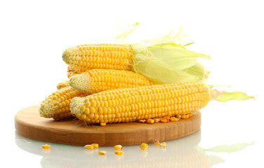 fresh corn on wooden cutting board, isolated on white