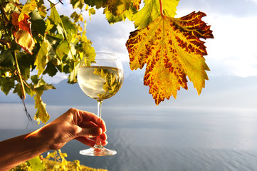 wineglass in the hand against Geneva lake in Lavaux region, Swit