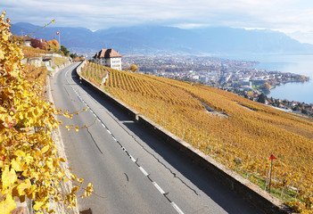 Road through the vineyards in Lavaux region, Switzerland