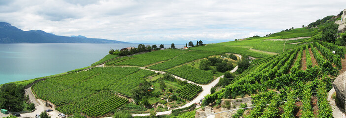 Famouse vineyards in Lavaux region against Geneva lake. Switzerl - 45498919