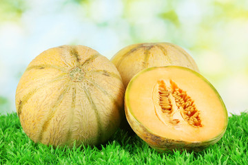 Tasty melons on grass on green background