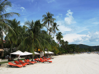 Fototapeta na wymiar Tropikalna plaża z wyspie Langkawi, Malezja