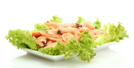 Boiled shrimps with lettuce leaves on plate, isolated on white