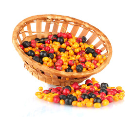 Fototapeta na wymiar kolorowe owoce jesieni w koszyku wikliny samodzielnie na białym tle