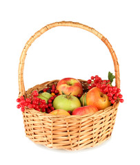 crop of berries and fruits in a basket isolated on white
