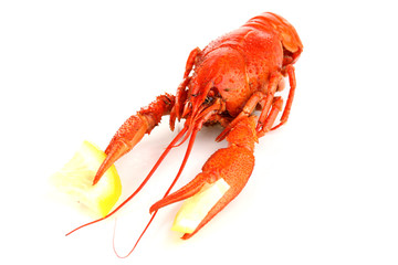 Tasty boiled crayfish with lemon isolated on white