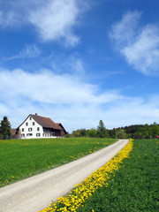 Fototapeta na wymiar Swiss rural view