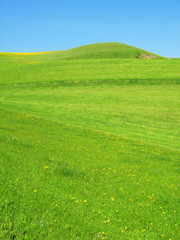 Green hills